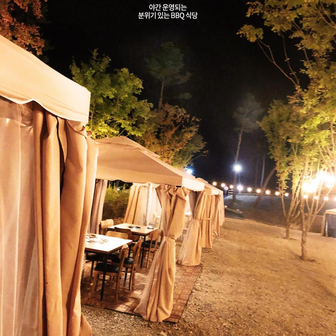 Pine Forest Jeongseon Alpine Resort מראה חיצוני תמונה