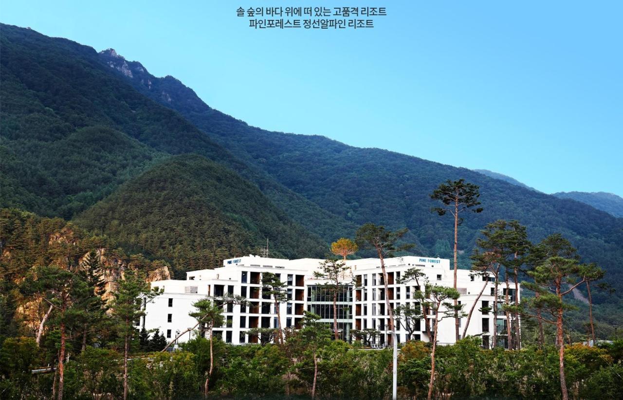 Pine Forest Jeongseon Alpine Resort מראה חיצוני תמונה